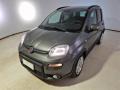 usato FIAT Panda