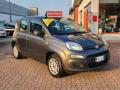 usato FIAT Panda