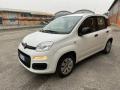 usato FIAT Panda