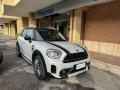 usato MINI Countryman