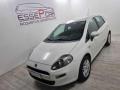 usato FIAT Punto