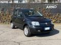 usato FIAT Panda