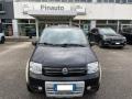 usato FIAT Panda