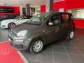 usato FIAT Panda