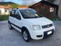 usato FIAT Panda