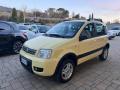 usato FIAT Panda