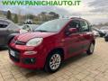 usato FIAT Panda