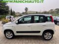 usato FIAT Panda