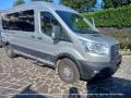 usato FORD Transit