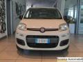 usato FIAT Panda