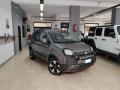 usato FIAT Panda Cross