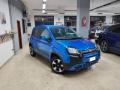 usato FIAT Panda Cross