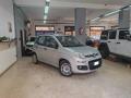 usato FIAT Panda