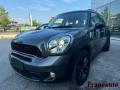 usato MINI Countryman