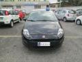 usato FIAT Punto