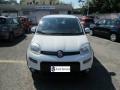 usato FIAT Panda