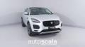 usato JAGUAR E Pace