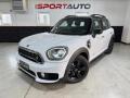 usato MINI Countryman