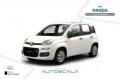 usato FIAT New Panda