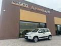 usato FIAT Panda