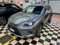 usato LEXUS NX 300h