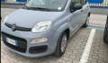 usato FIAT Panda