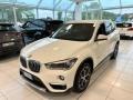 usato BMW X1