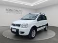 usato FIAT Panda