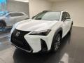 nuovo LEXUS UX 250h