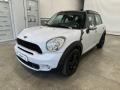 usato MINI Countryman