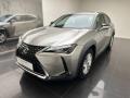 usato LEXUS UX 250h