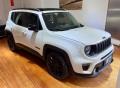 usato JEEP Renegade