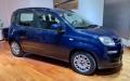 usato FIAT Panda