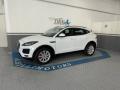 usato JAGUAR E Pace