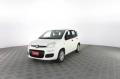 usato FIAT Panda