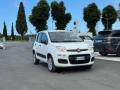 usato FIAT Panda