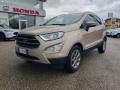 usato FORD EcoSport