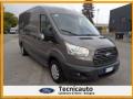 usato FORD Transit