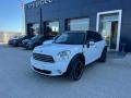 usato MINI Countryman