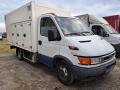 usato IVECO Daily 35C12 cella refrigerante