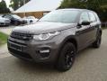 Usato LAND ROVER Discovery