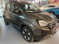 usato FIAT Panda Cross