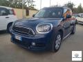 usato MINI Countryman