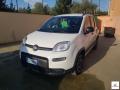 usato FIAT Panda