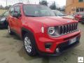 usato JEEP Renegade