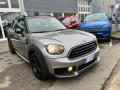 usato MINI Countryman