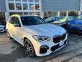 usato BMW X5 M50