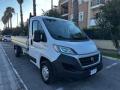 usato FIAT Ducato