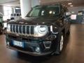 usato JEEP Renegade