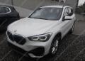 usato BMW X1